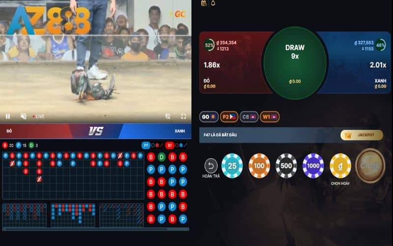 AZ888 cung cấp 3 cửa đặt cược đá gà cựa dao
