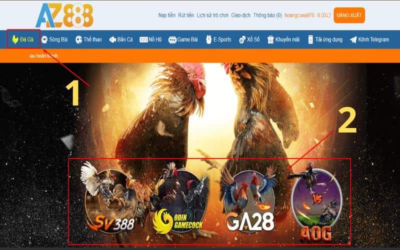 Hướng dẫn các bước đặt cược đá gà cựa dao tại AZ888