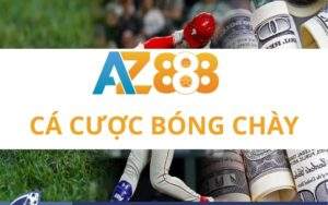 Cá Cược Bóng Chày