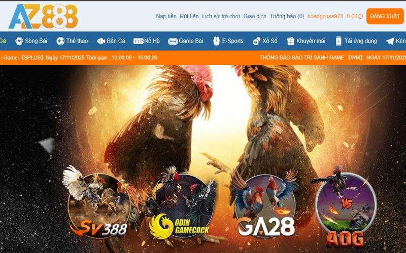 SV388 là một trong 4 sảnh cược đá gà tại AZ888